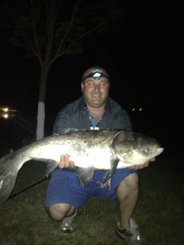 pestisori de aur - img-20130428-wa0001.jpg